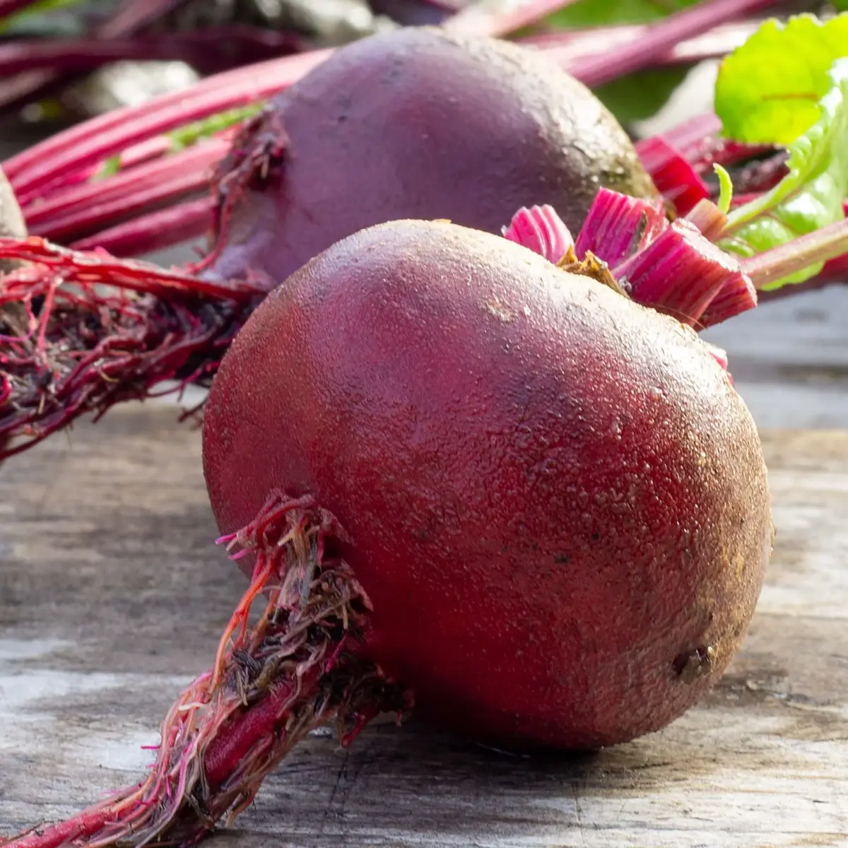 Rote Bete Ägyptische Plattrunde