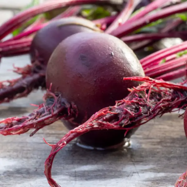 Rote Bete Ägyptische Plattrunde