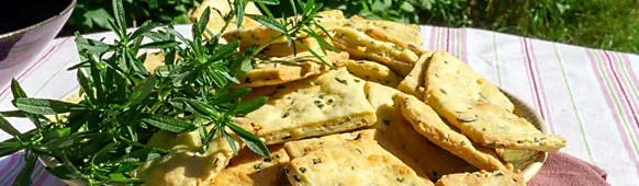 essen mit bohnenkraut