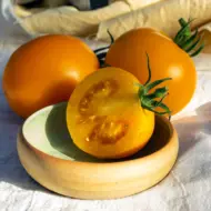 Tomate Mandaline