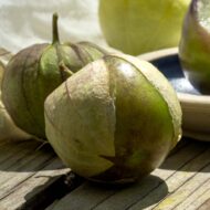 Tomatillo Purple Früchte